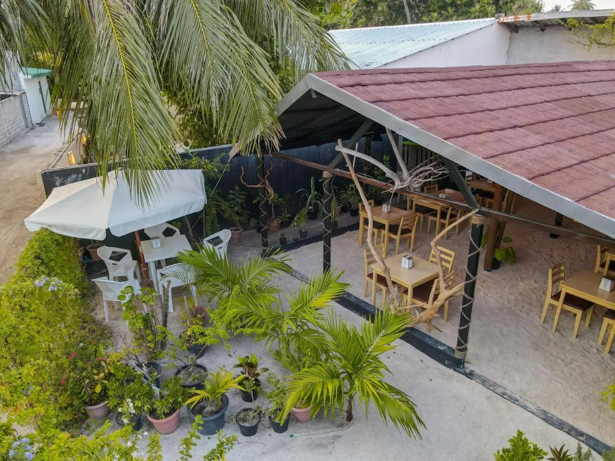 Photo - Turtle Maldives - Your Gateway to the Beach & Marine Adventures Await!