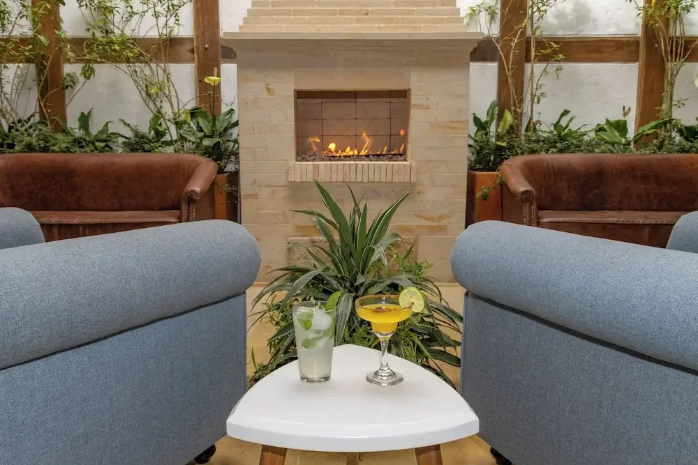 Foto - Camelia by Masaya Collection