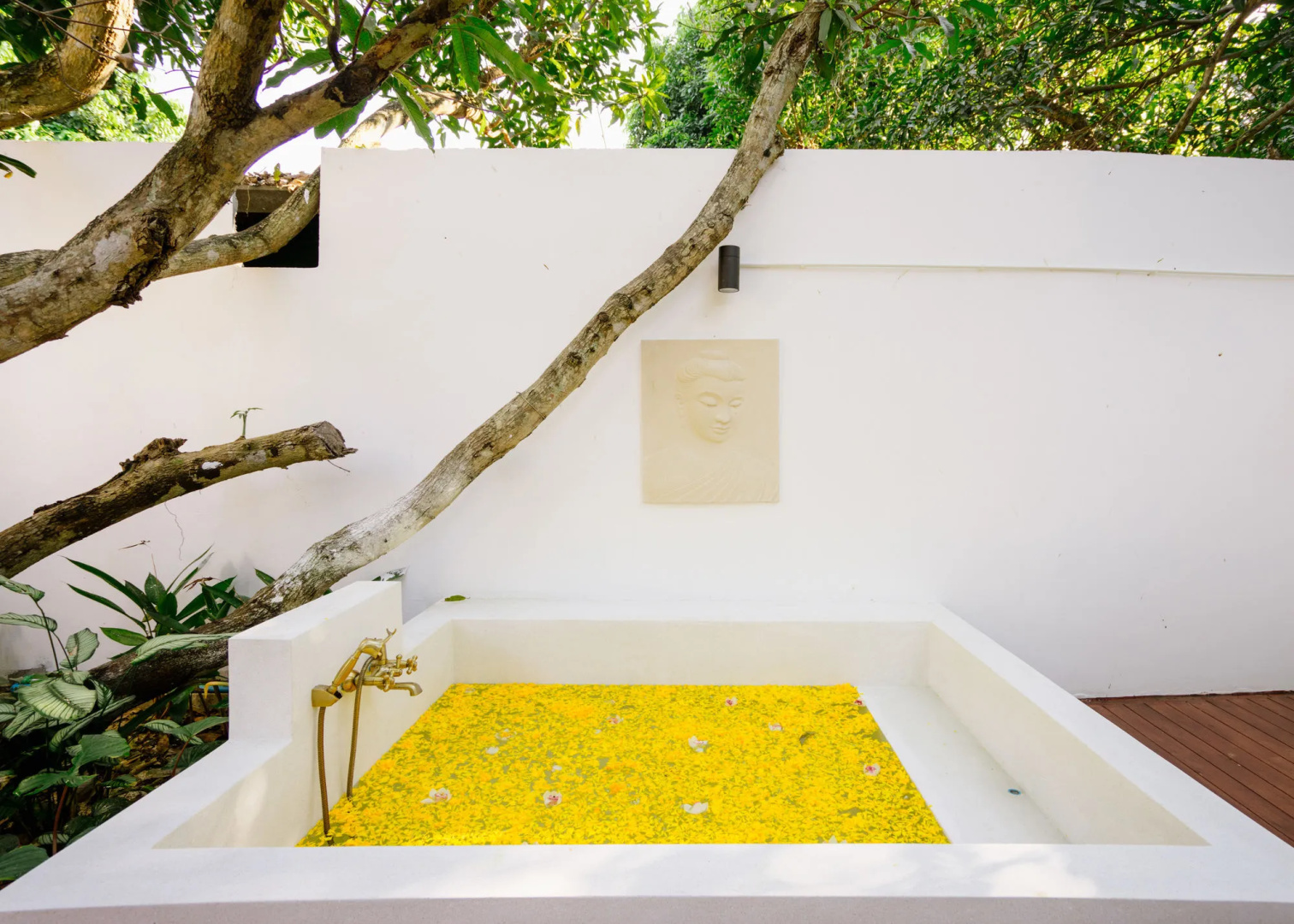 Foto - Mango Tree Resort