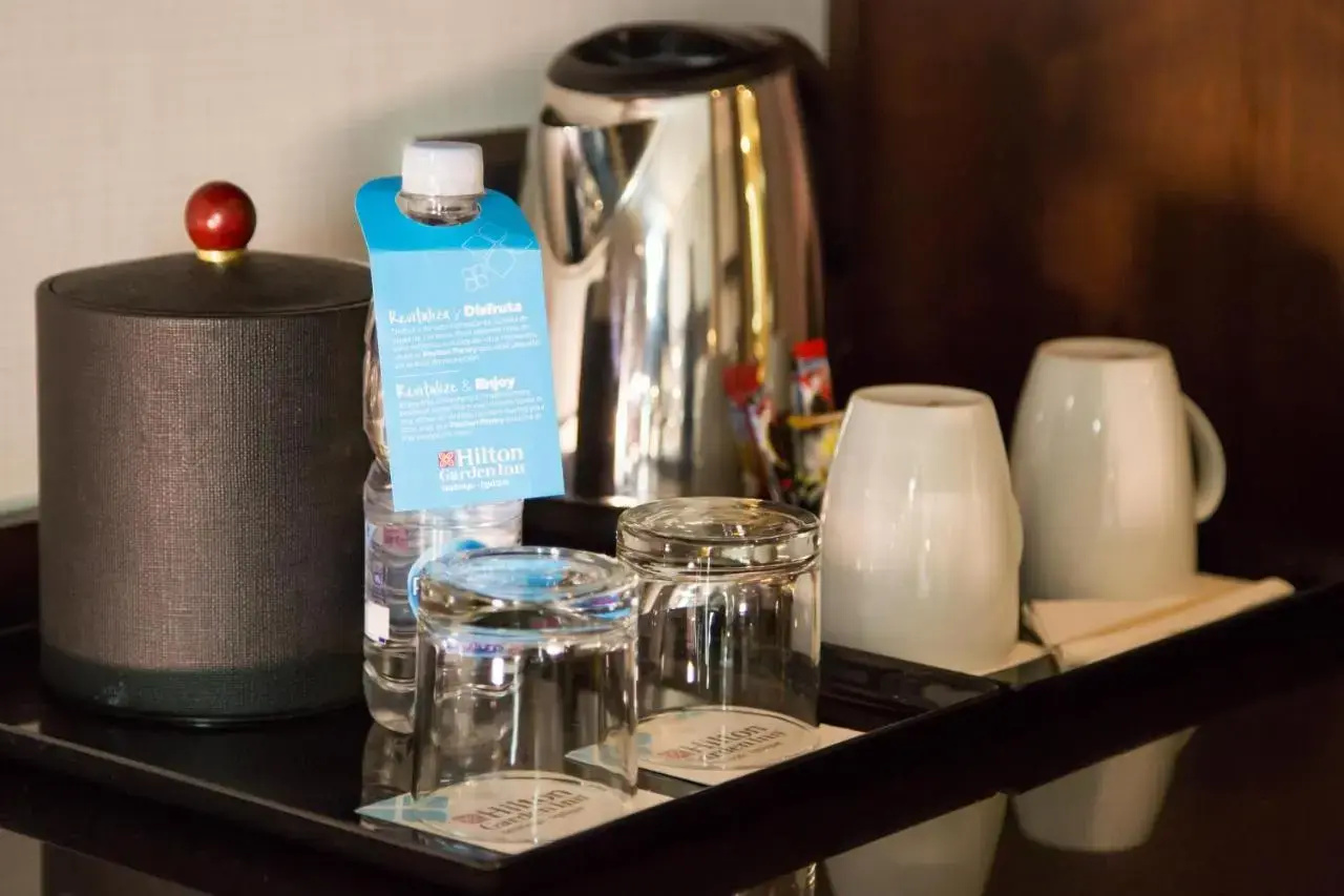 Photo - Hilton Garden Inn Santiago Airport
