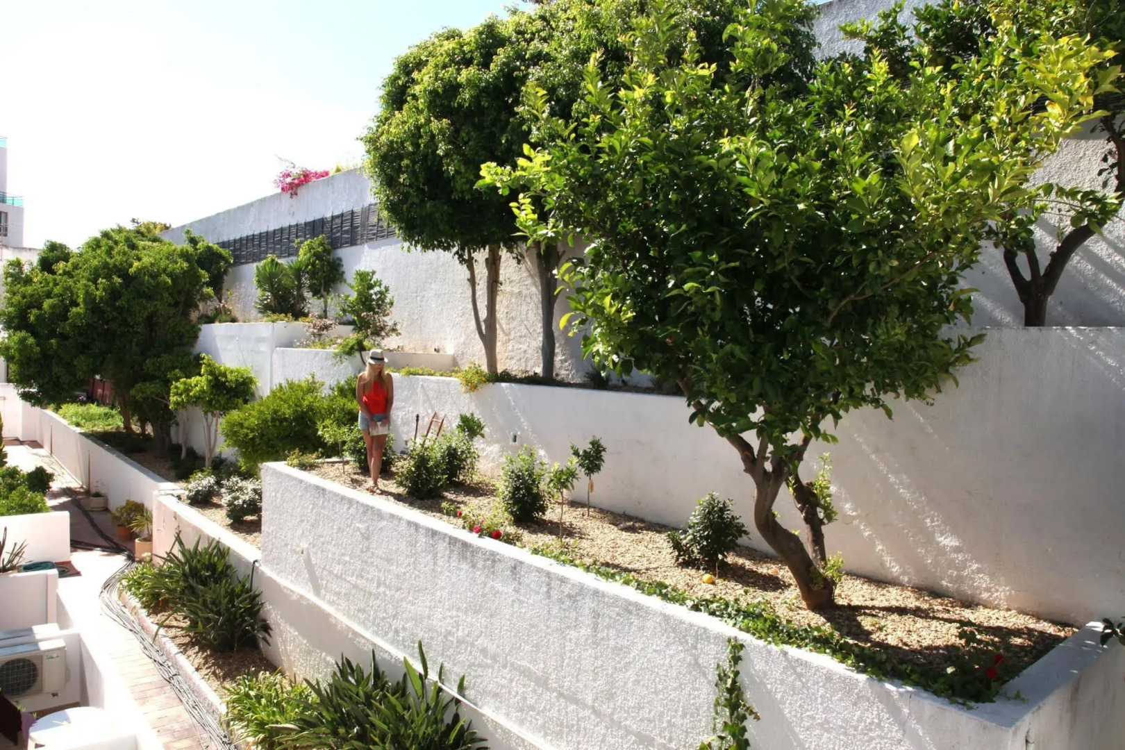 Foto - Carvi Beach Hotel