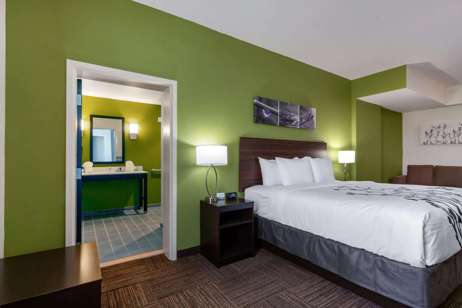 Photo - Sleep Inn & Suites Tampa South