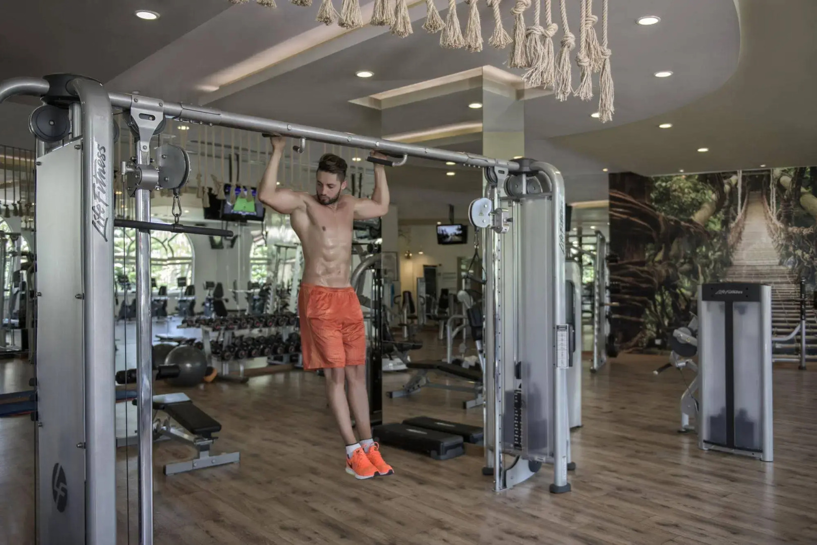 Foto - Delphin Imperial Lara