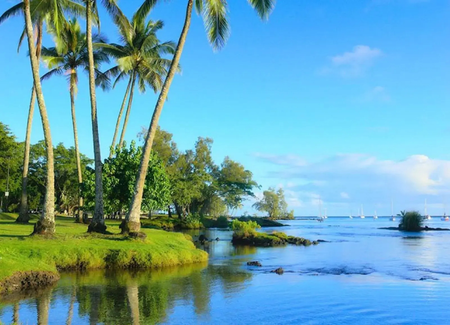 Photo - SCP Hilo Hotel