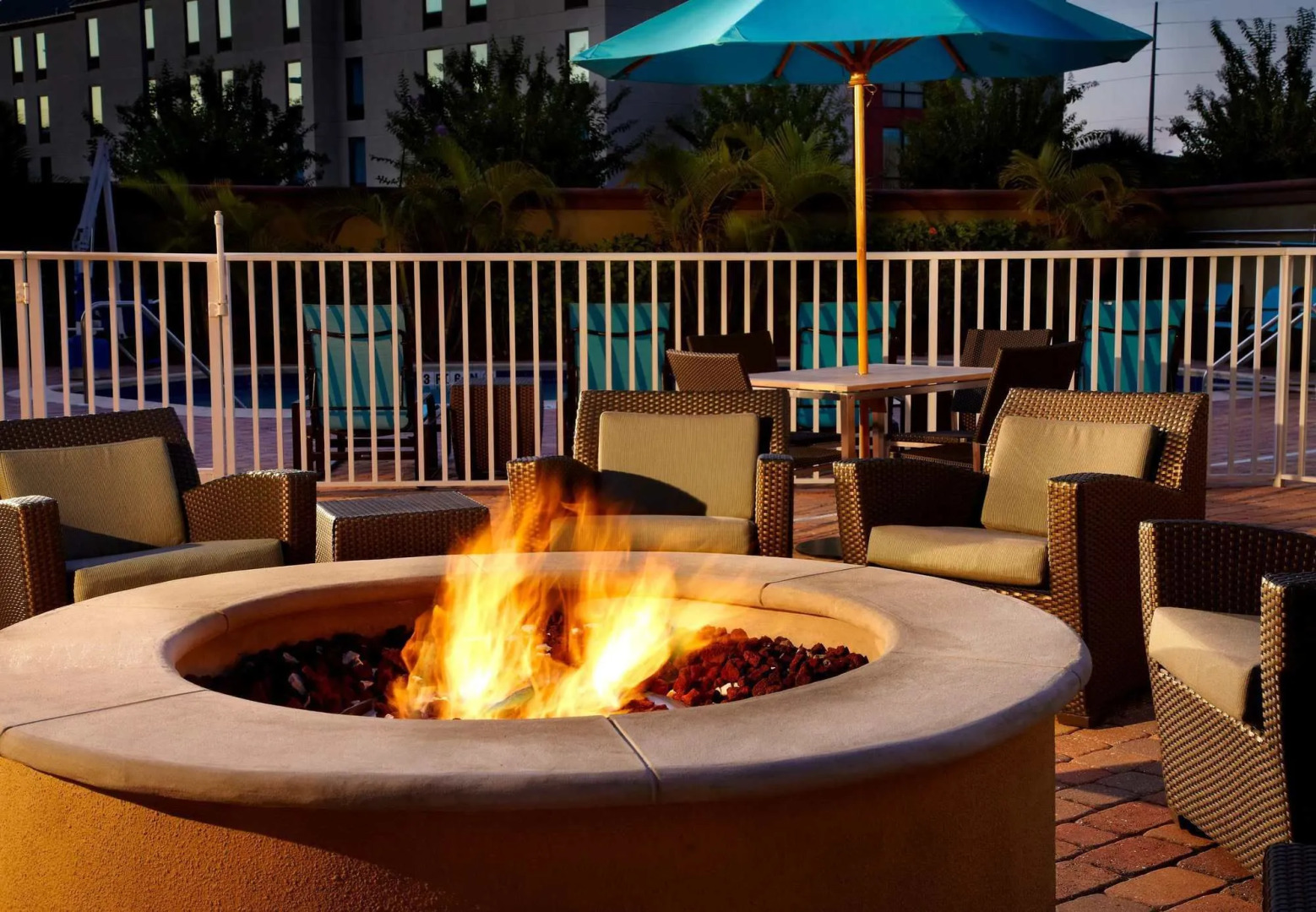 Foto - Residence Inn Tampa Oldsmar