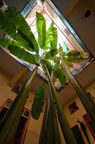 Foto - Riad Espagne