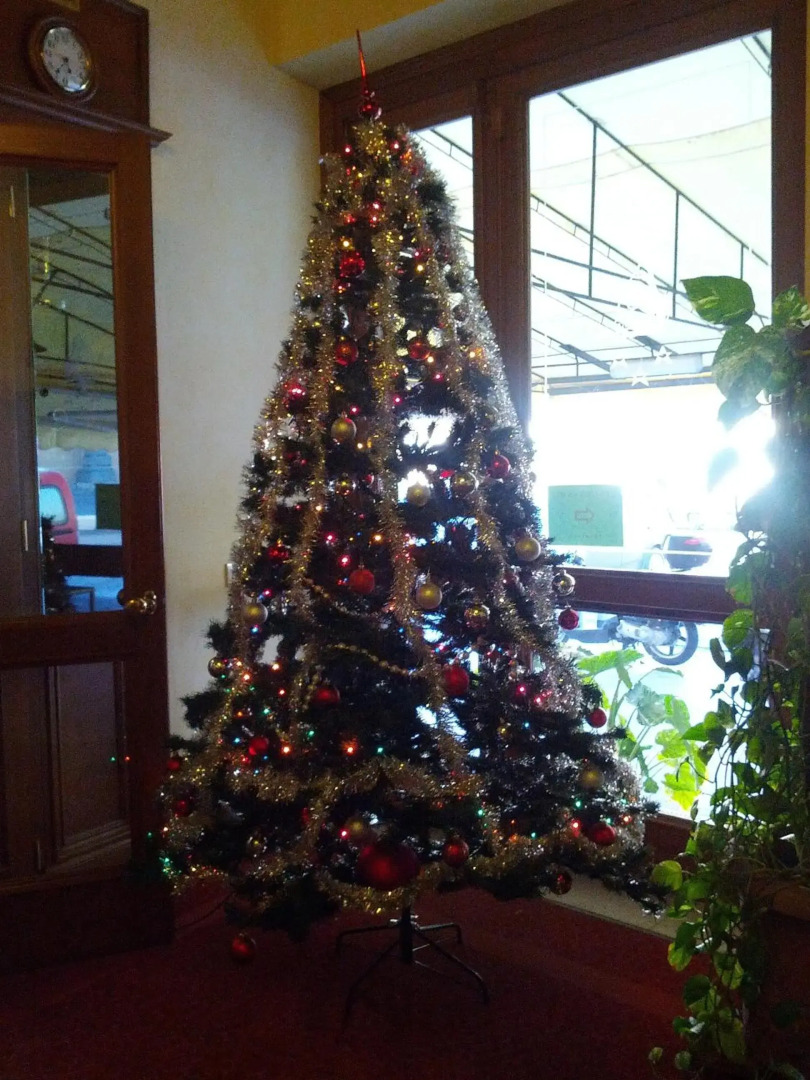 Foto - Hotel Villa Kinzica