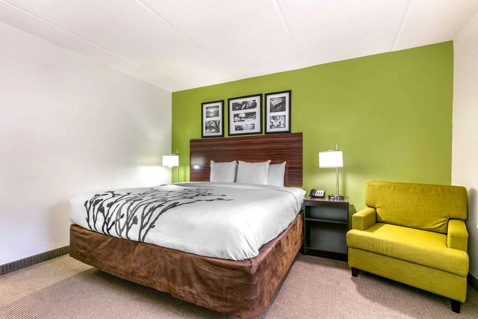 Foto - Sleep Inn & Suites near Sports World Blvd