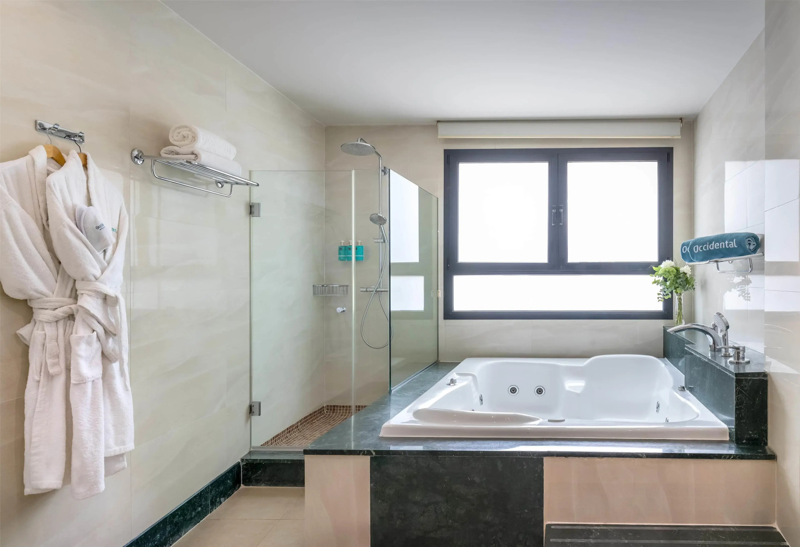 Foto - Occidental Granada