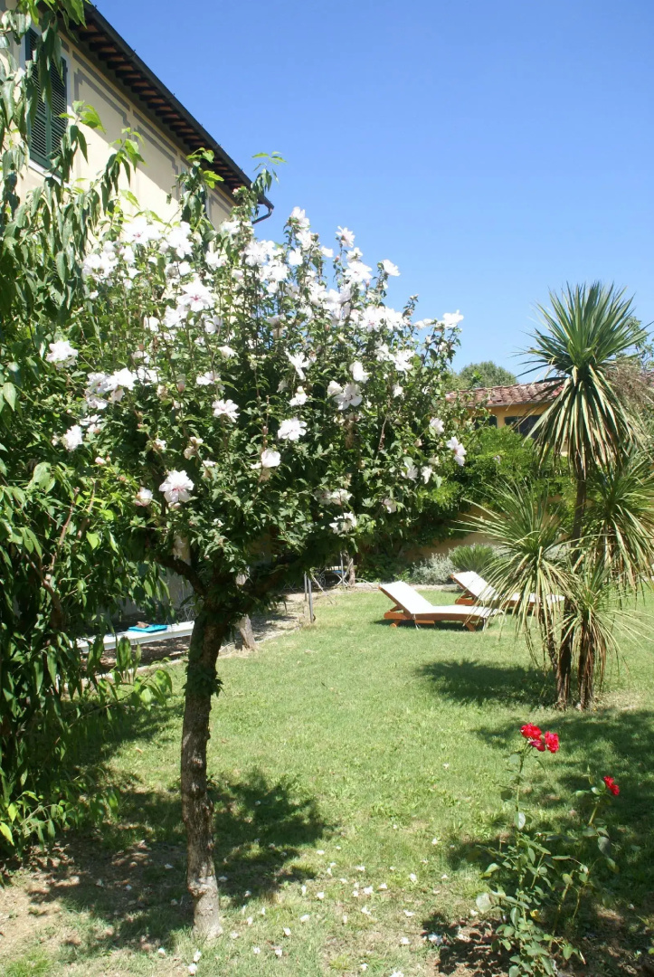 Foto - Villa Ape Rosa Relais