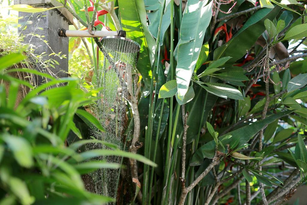 Foto - Ubud Nyuh Bali Resort & Spa