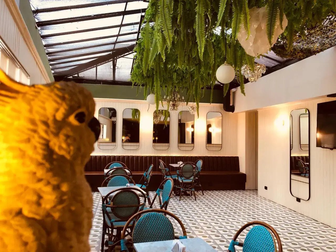 Foto - Viajero Bogotá Hostel & Spa