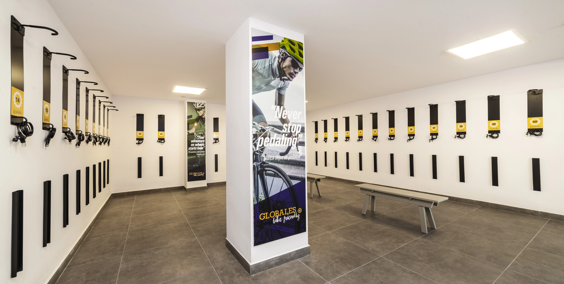 Foto - Globales Mimosa