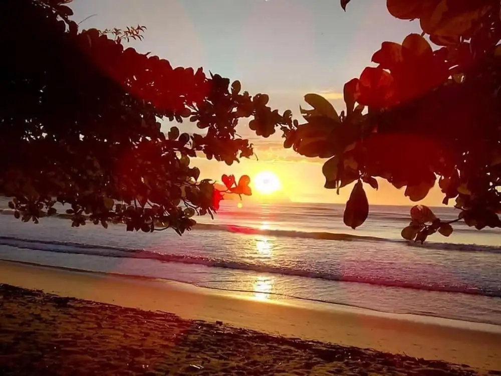 Foto - Ubatuba Eco Hotel