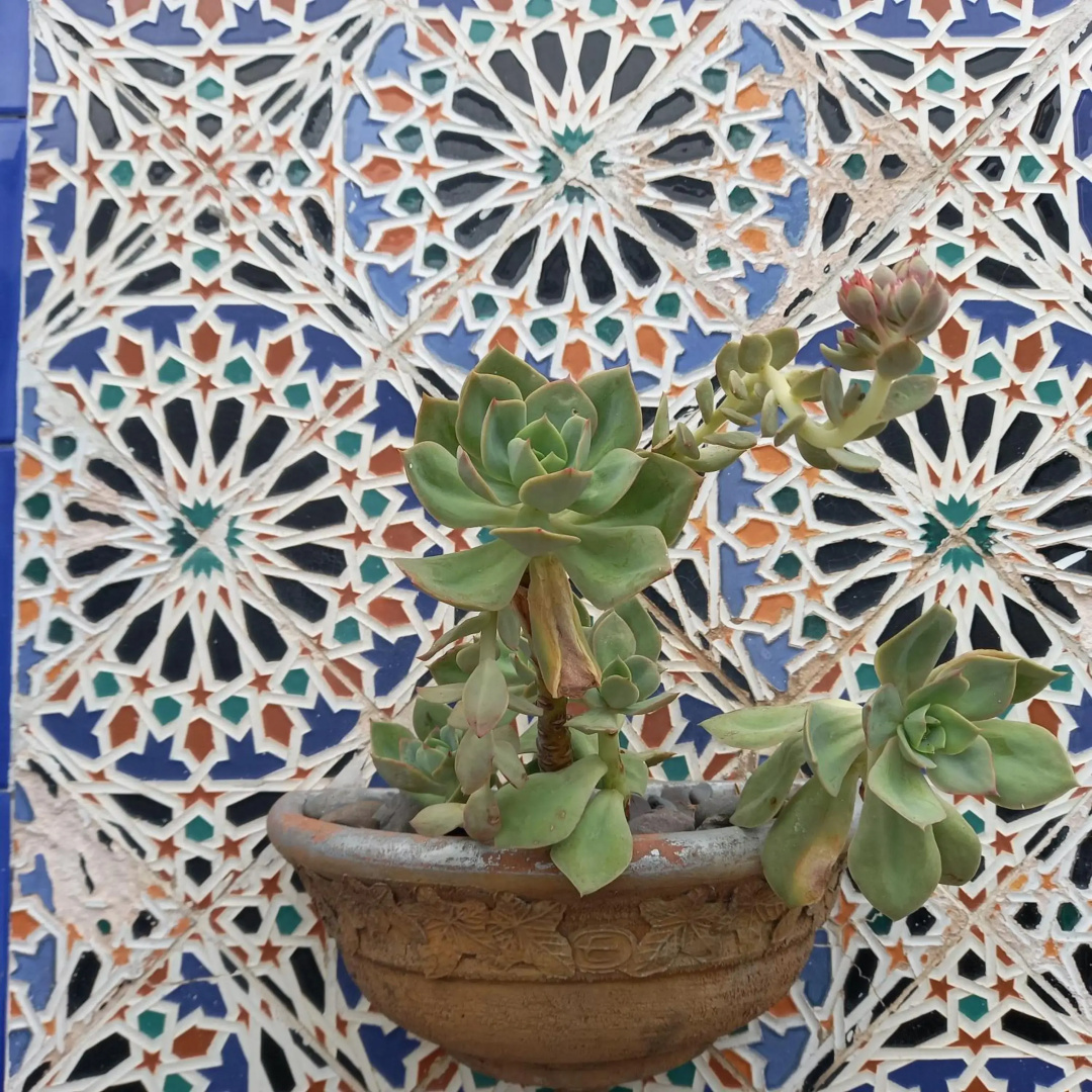 Foto - Hotel Del Virrey