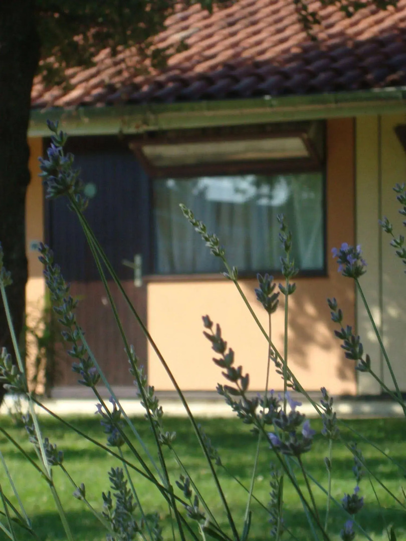 Photo - Résidence Thibaud