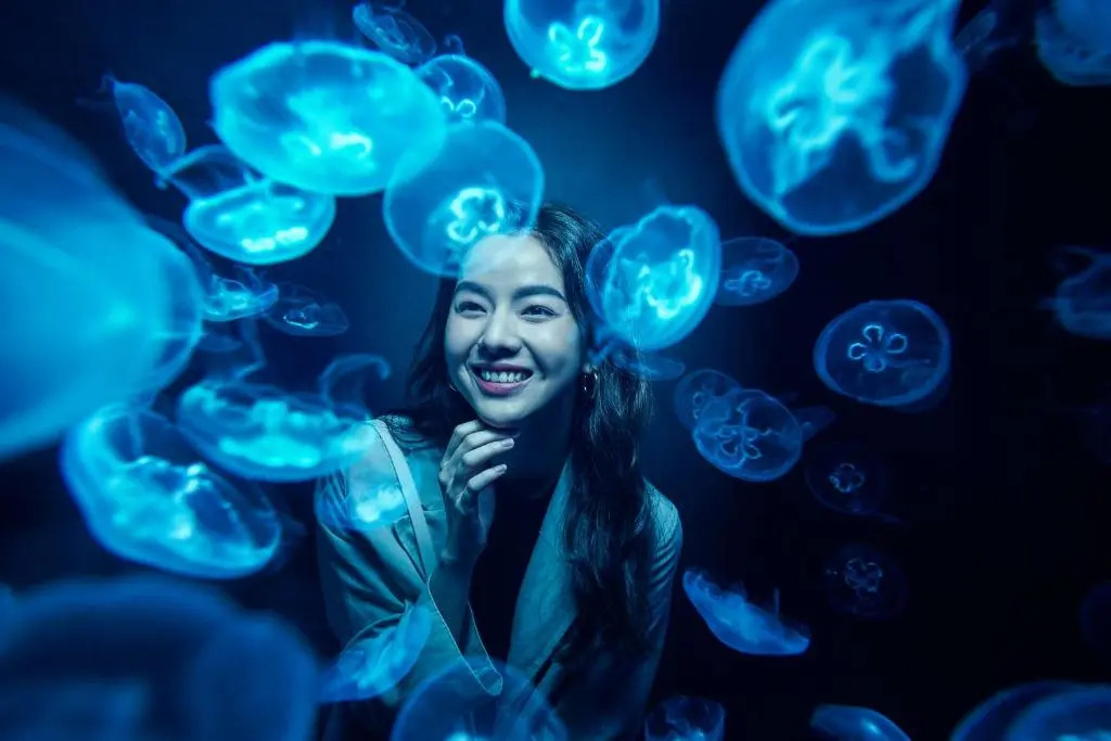 Photo - The Laurus, a Luxury Collection Resort, Singapore