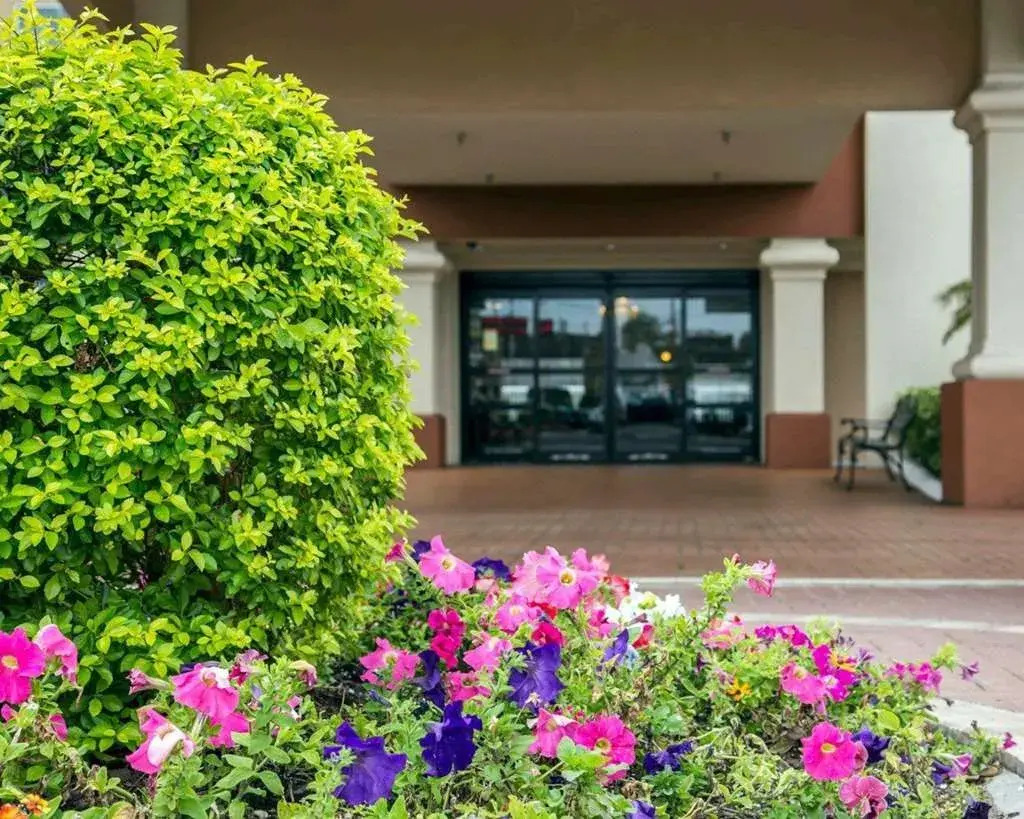 Foto - Comfort Inn International Drive