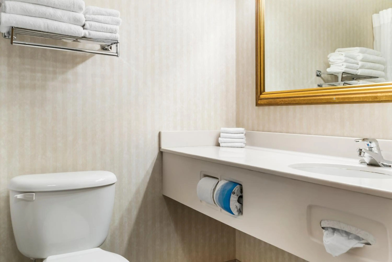 Foto - SpringHill Suites Irvine John Wayne Airport/Orange County