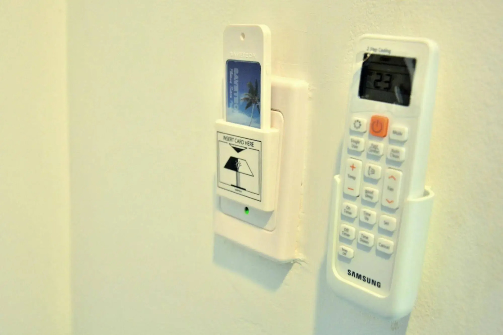 Photo - Seedling House