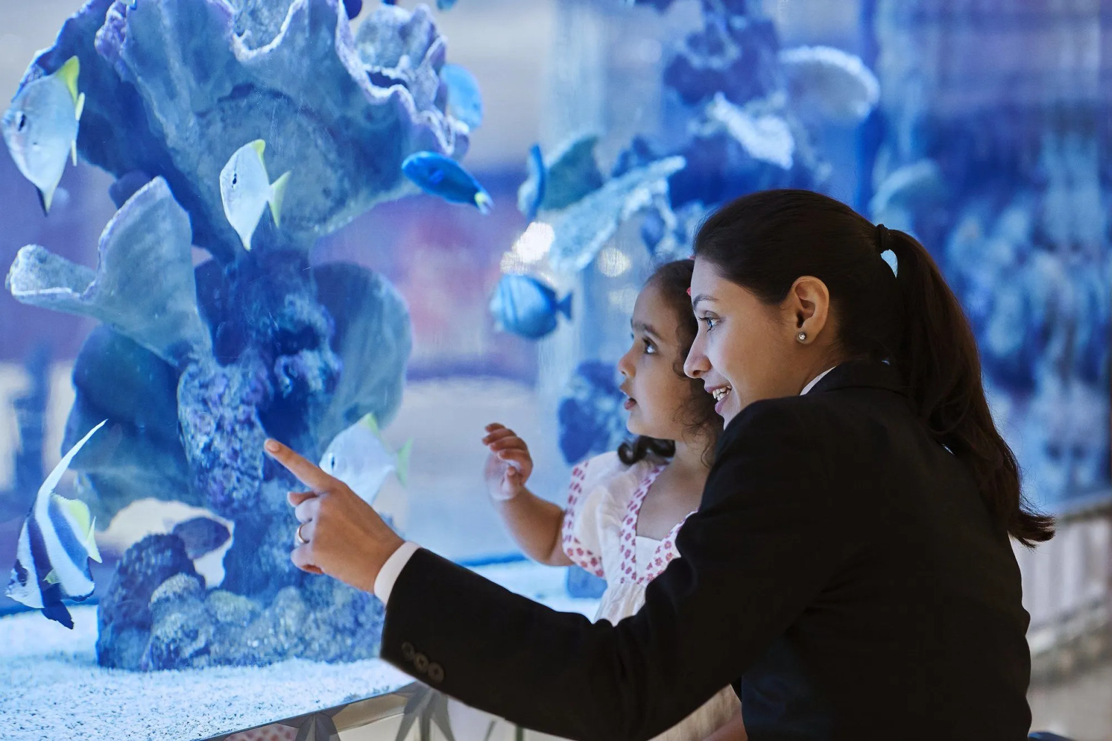 Foto - Taj Santacruz