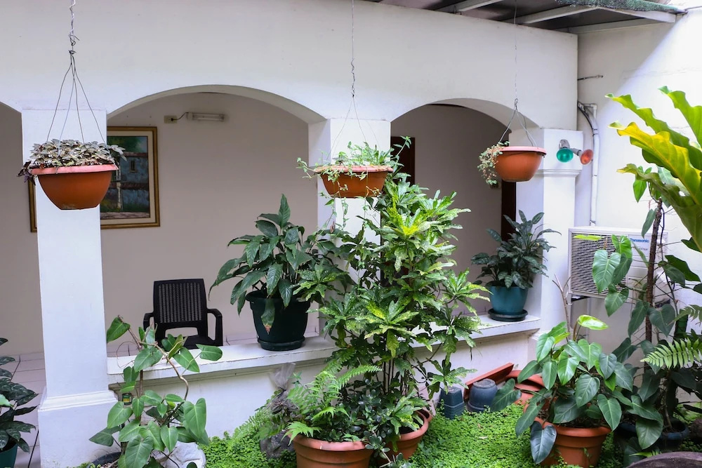 Photo - Hotel Villa Serena San Benito