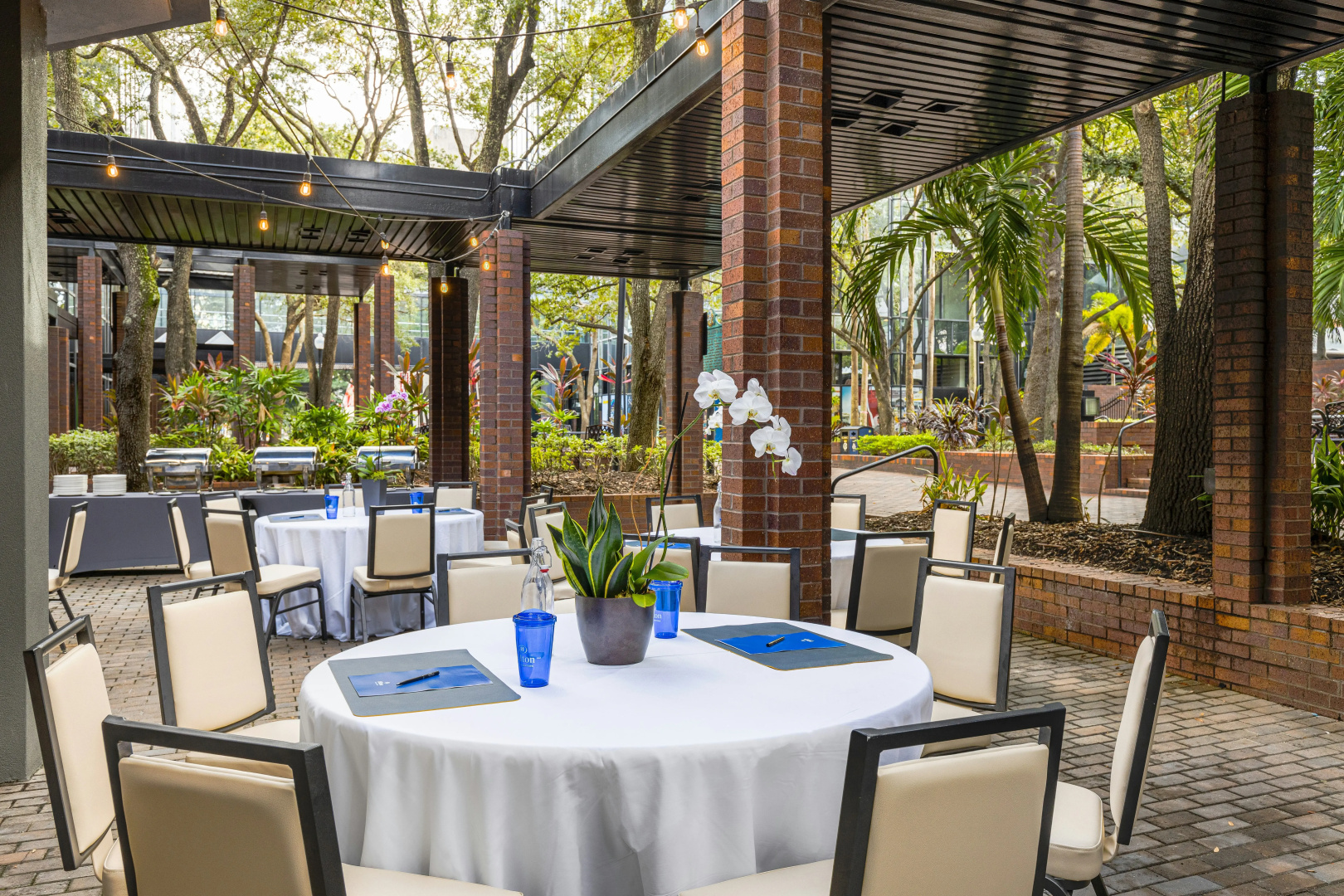 Foto - Hilton Tampa Downtown
