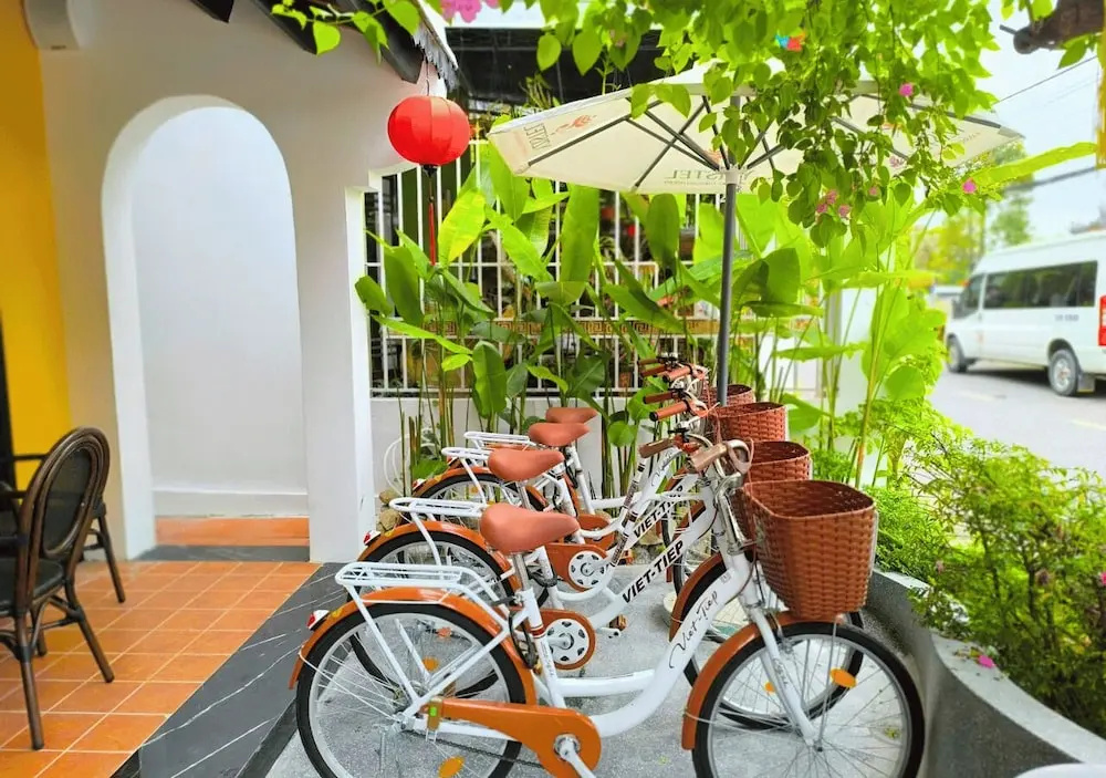Foto - Yzistel Hoi An