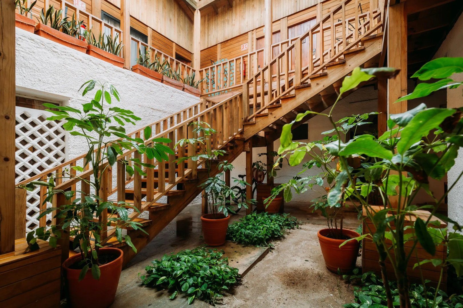 Foto - Nílu Isla Mujeres by Selina