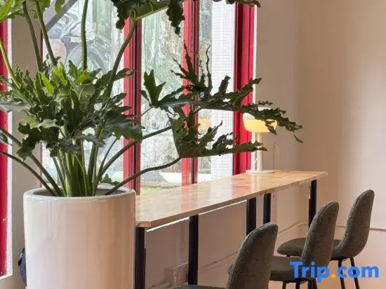 Foto - Traveller Ark Hotel and Bunks