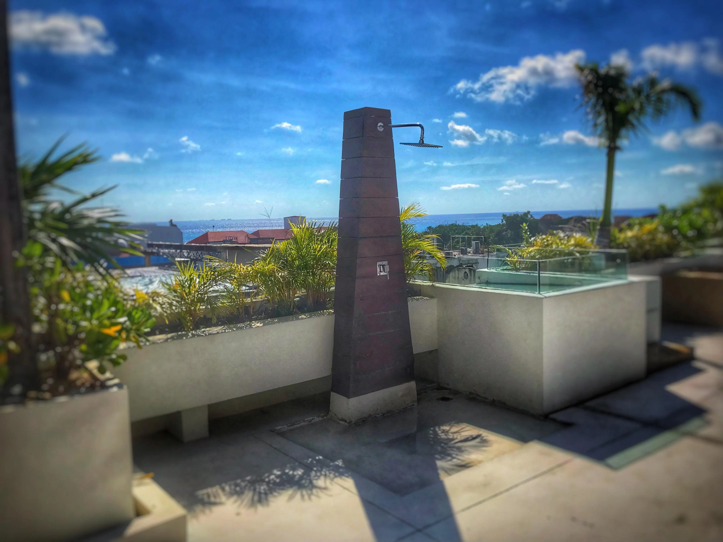 Foto - Hotel The Palm