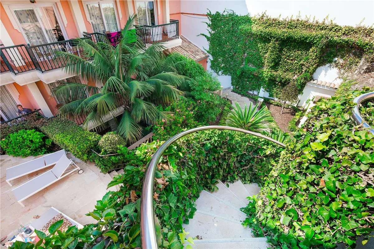 Foto - THB Felip - Adults Only