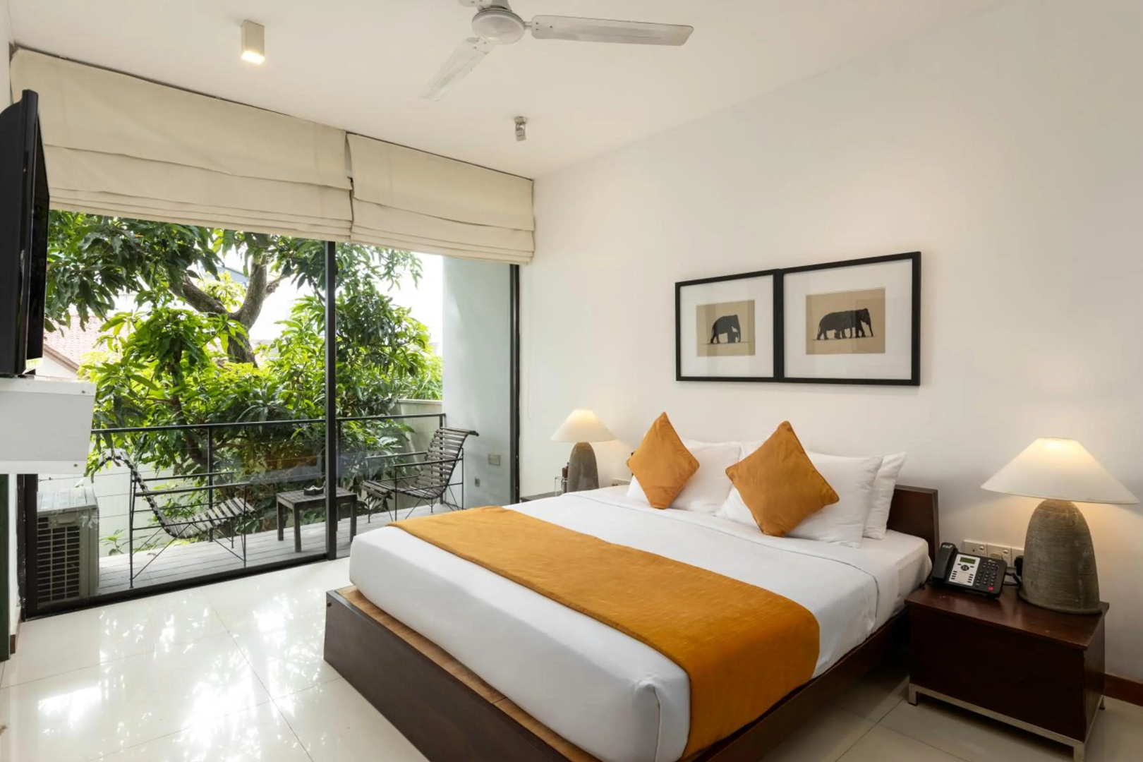 Photo - Rockwell Colombo