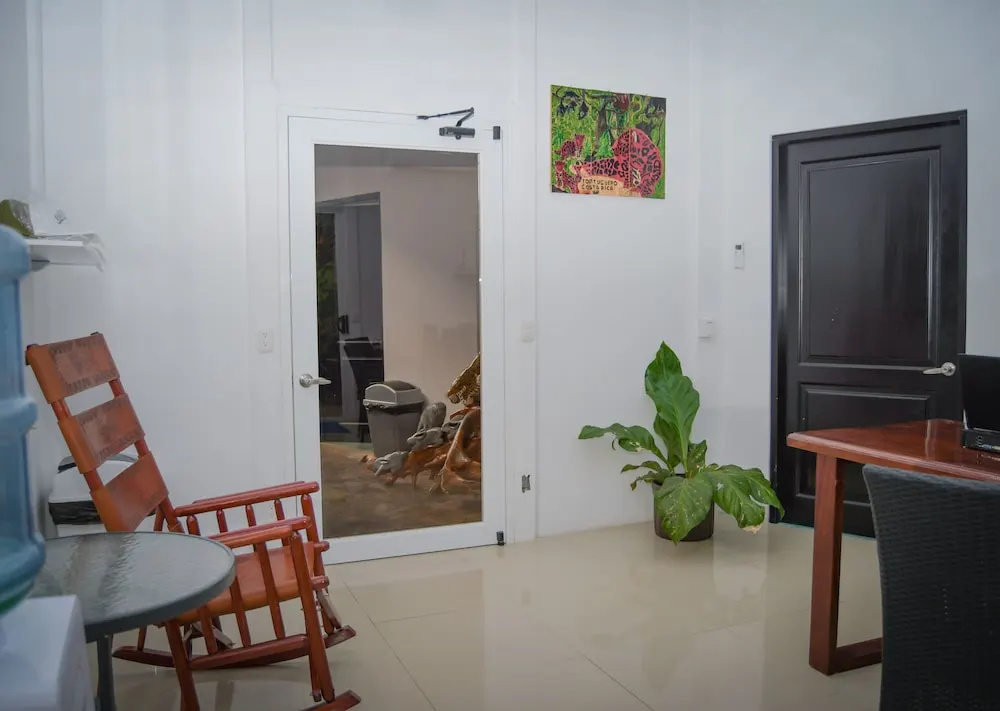 Foto - Hotel Serendipity tortuguero