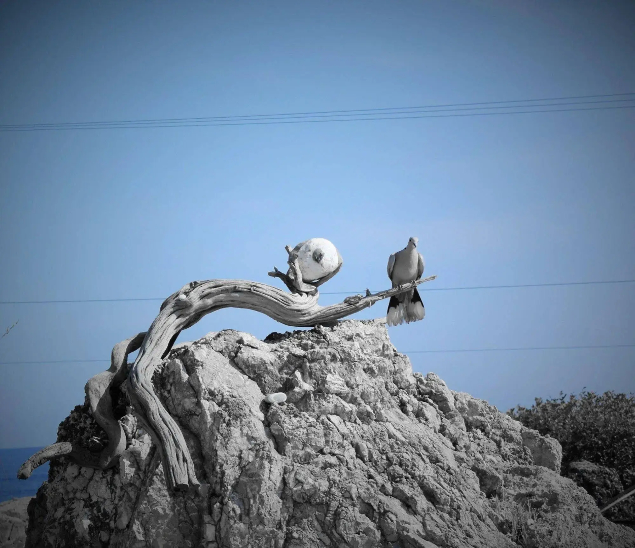 Foto - Aris Boutique Hotel