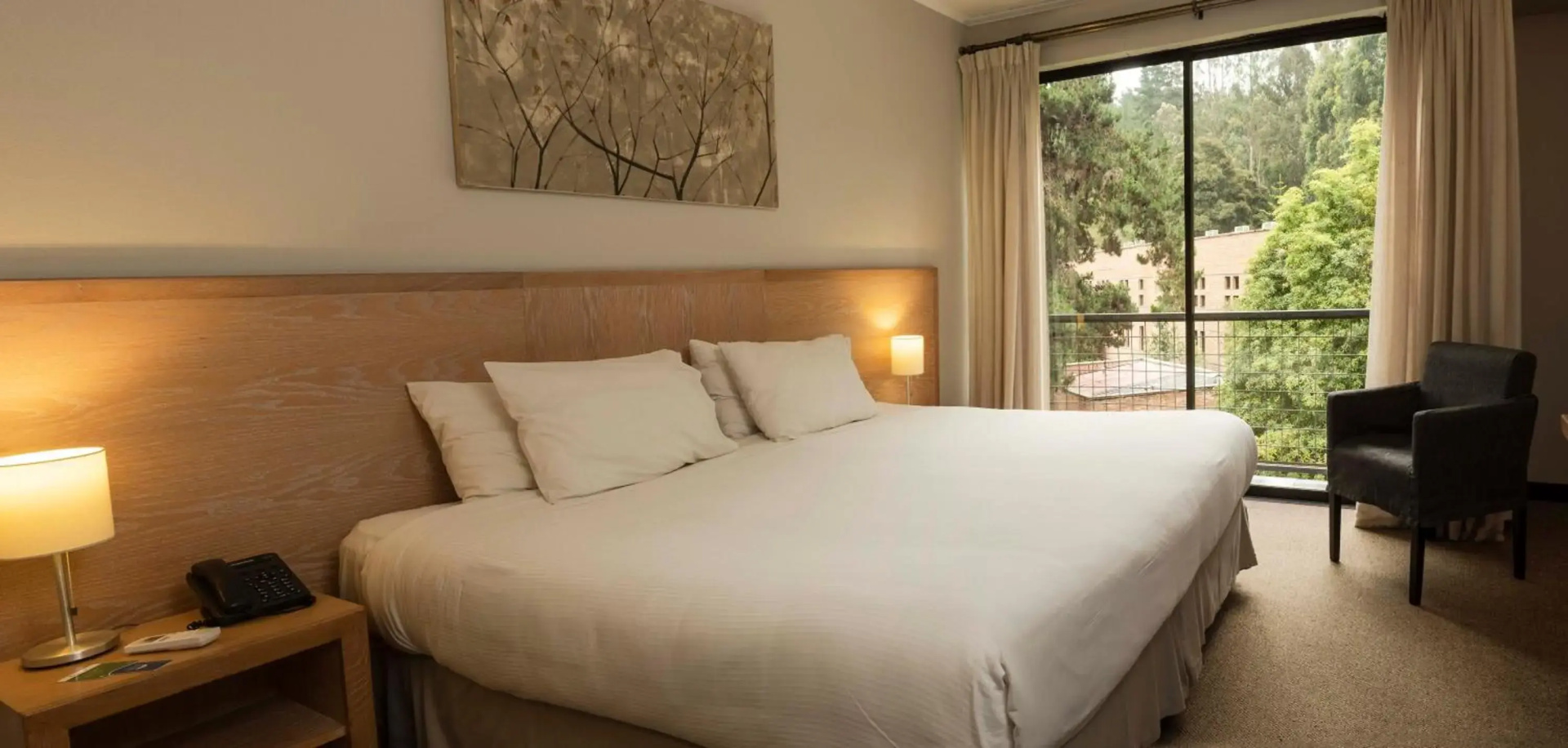 Foto - Hotel Bosque de Reñaca
