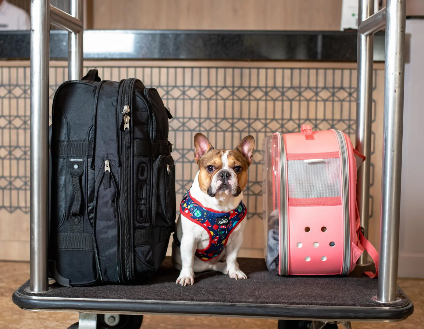 Photo - Faranda Express Belvedere