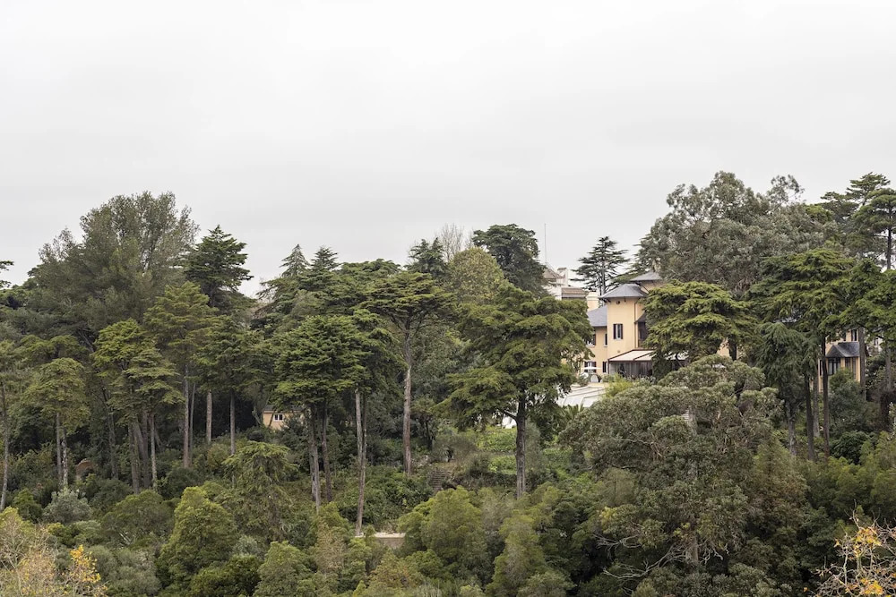 Foto - Sintra Marmòris Camélia