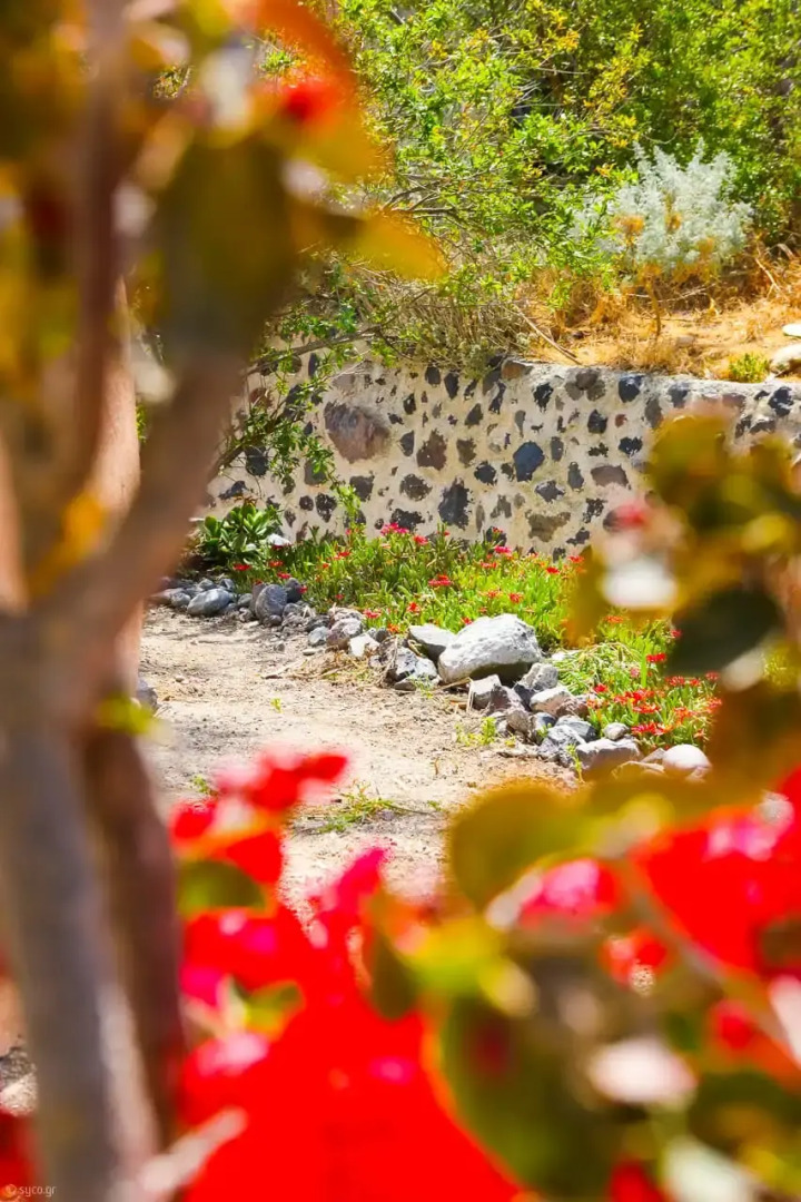 Photo - Elyvia Caves