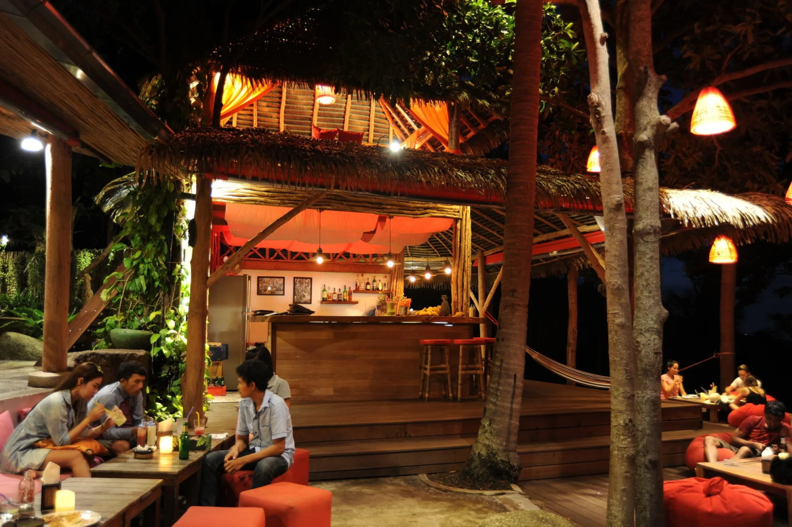 Photo - The Jungle Club