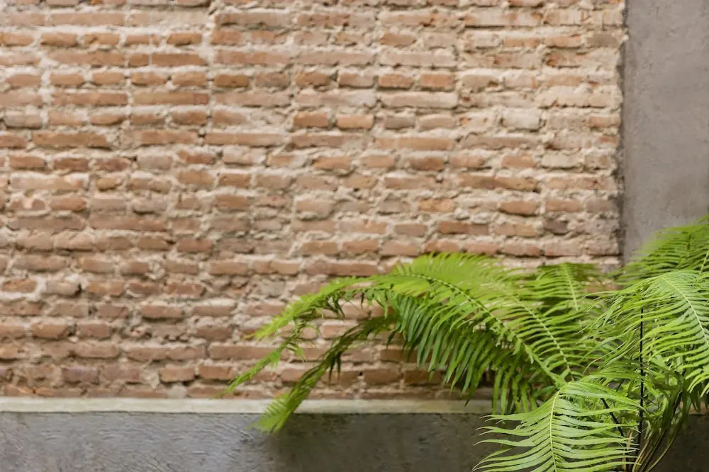 Foto - Khunluang Hostel