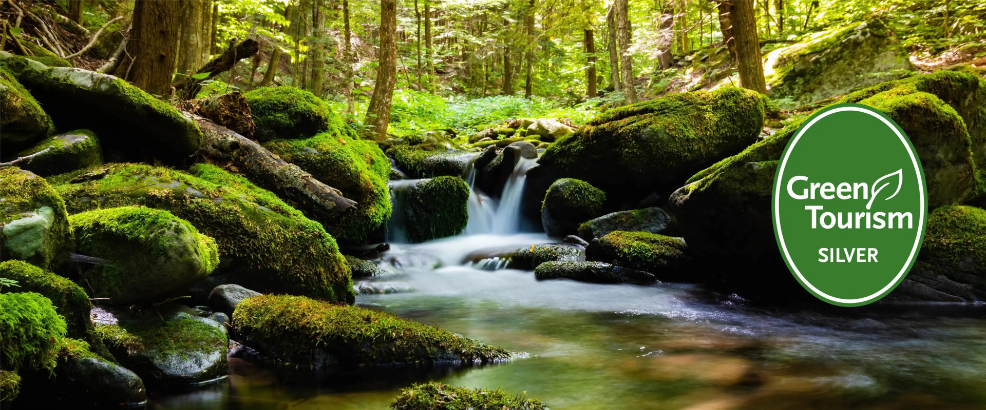 Foto - Radisson Blu Hotel, London Canary Wharf East