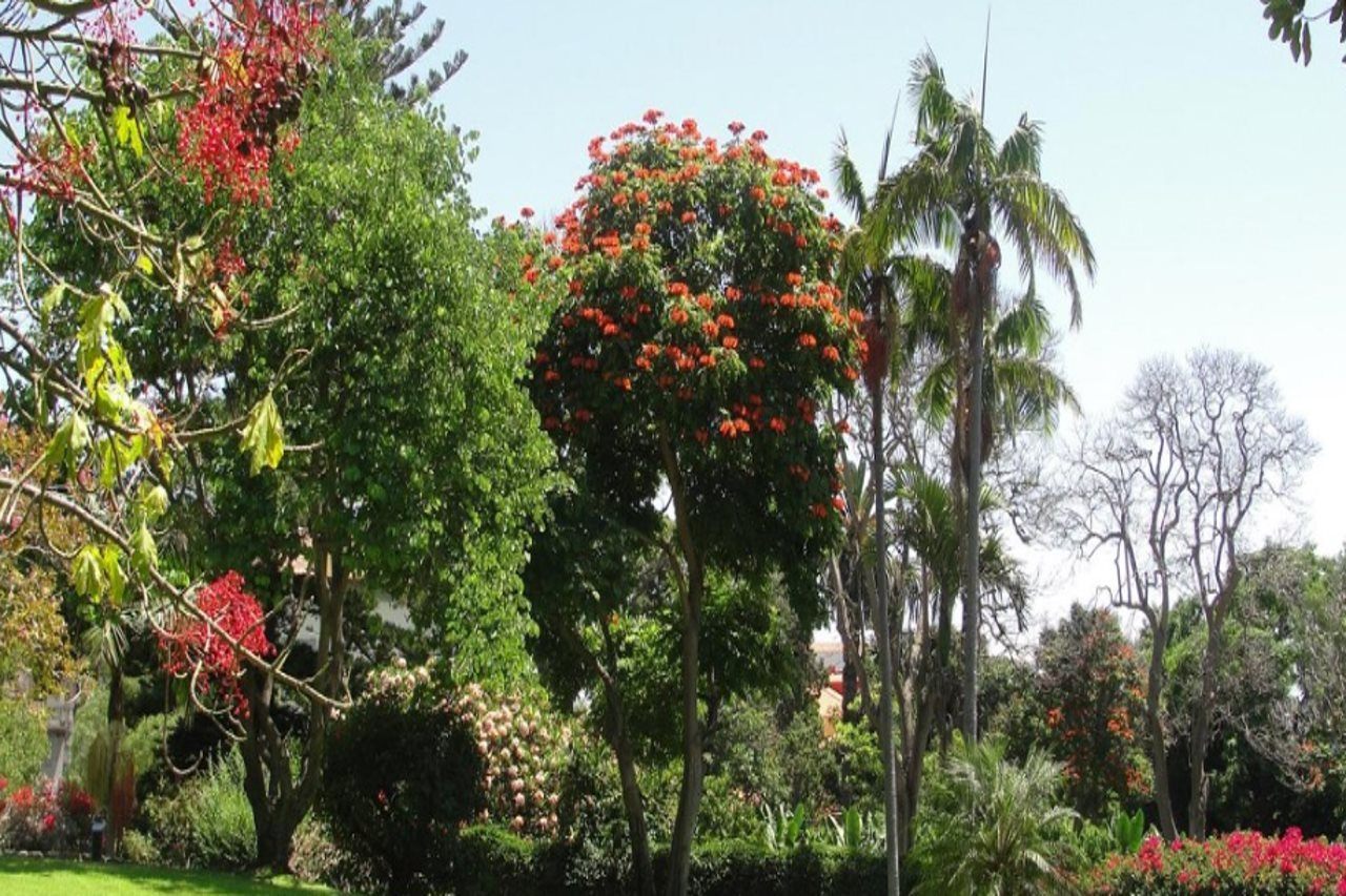 Foto - Quinta da Casa Branca - Small Luxury Hotels of the World