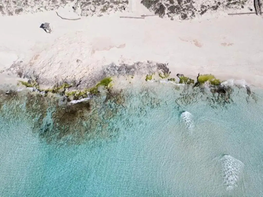 Foto - Sa Pedrera Suites & Spa