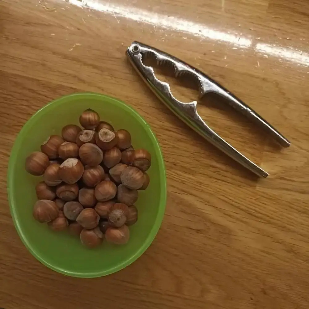 Foto - Ripe's FoRest Garden Guest House