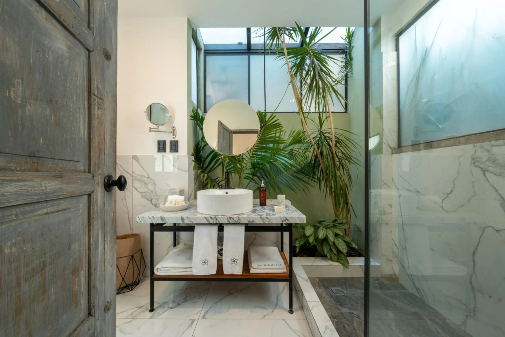 Photo - Orchid House Mexico City