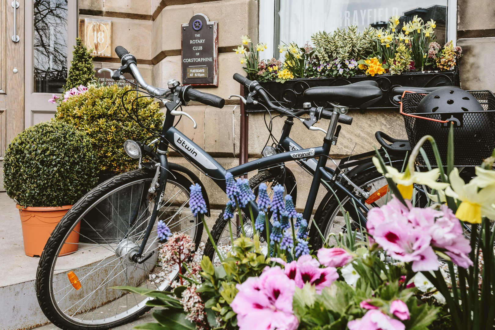 Photo - Murrayfield Hotel