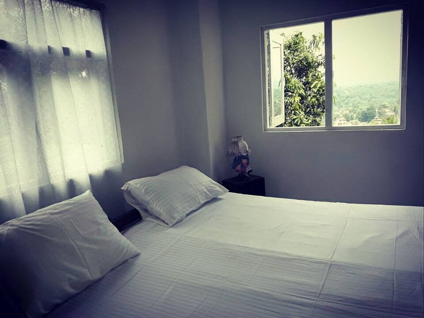 Mount view 11