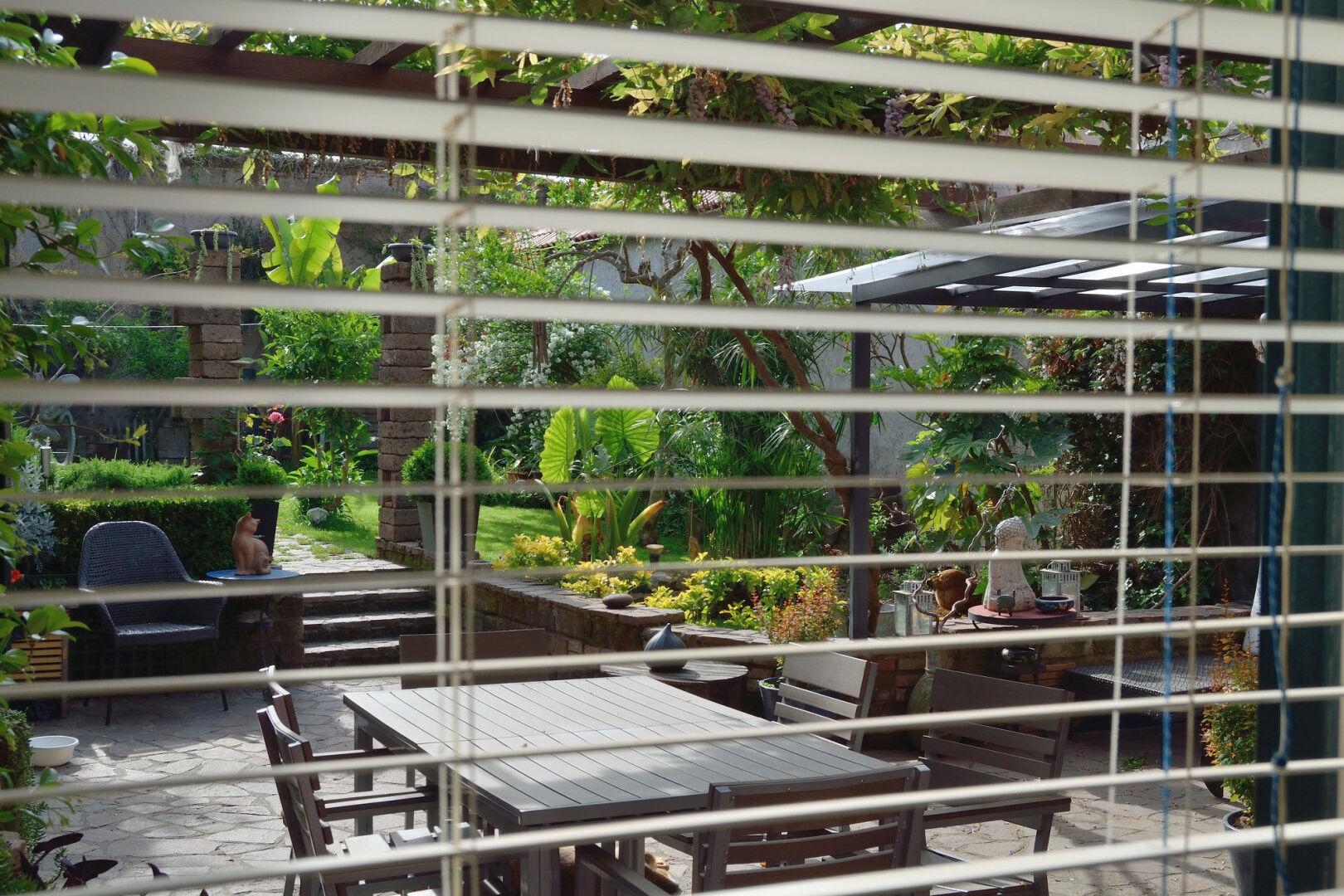 Foto - Abbraccia Morfeo Roma