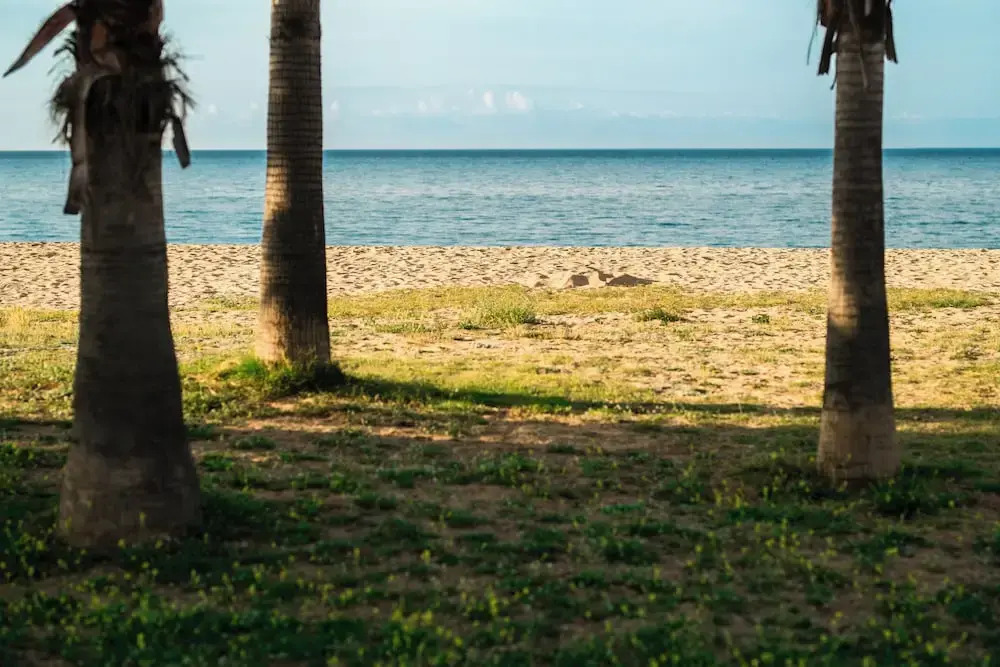 Foto - Camping Bellsol Pets